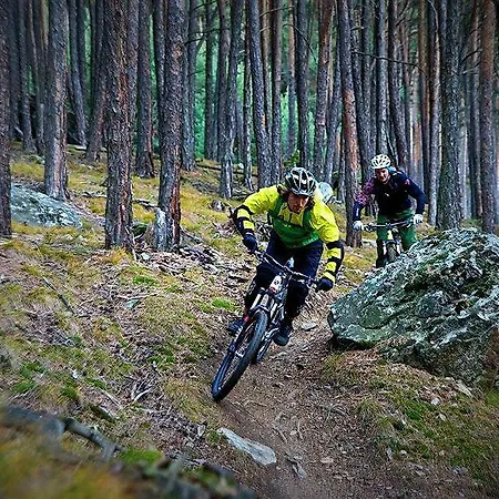 Design Tyrol